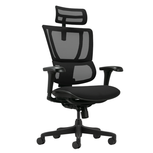 Ергономичен стол ERGOHUMAN IOO BUDGET 2 - черна рамка - черен