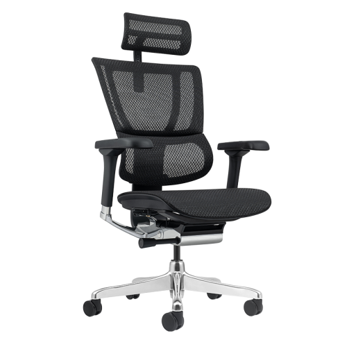 Ергономичен стол ERGOHUMAN ELITE 2 - черна рамка - черен