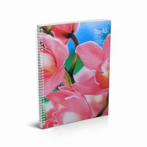 Тетрадка Multiprint Меки корици, спирала, 2 теми, B5 80 л. с широки редове