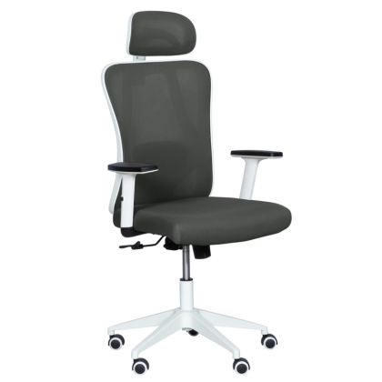 Ергономичен стол Carmen 7588 - графит