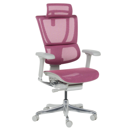 Ергономичен стол ERGOHUMAN IOO ELITE 2 - сива рамка - розов