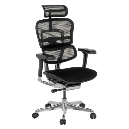 Ергономичен стол ERGOHUMAN ELITE 2 - черна рамка - черен