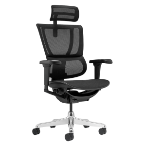 Ергономичен стол ERGOHUMAN IOO ULTRA - черна рамка - черен