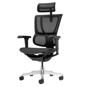 Ергономичен стол ERGOHUMAN IOO ULTRA - черна рамка - черен