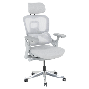 Ергономичен стол METZ - сив