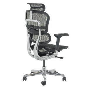 Ергономичен стол ERGOHUMAN ELITE 2 - черна рамка - черен