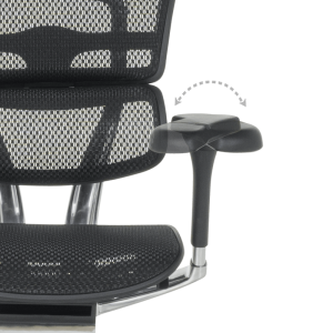 Ергономичен стол ERGOHUMAN ELITE 2 - черна рамка - черен