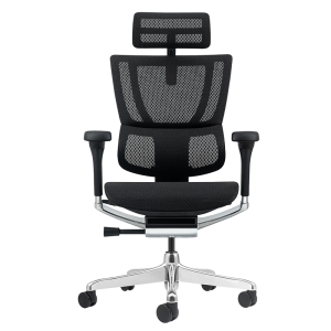 Ергономичен стол ERGOHUMAN ELITE 2 - черна рамка - черен