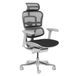 Ергономичен стол ERGOHUMAN ELITE 2 - сива рамка - черен