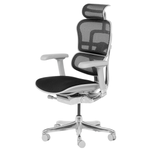 Ергономичен стол ERGOHUMAN ELITE 2 - сива рамка - черен