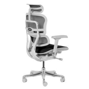 Ергономичен стол ERGOHUMAN ELITE 2 - сива рамка - черен