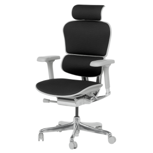 Ергономичен стол ERGOHUMAN ELITE 2 - сива рамка - черен