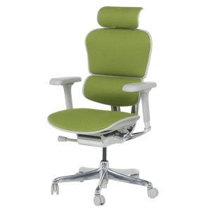 Ергономичен стол ERGOHUMAN ELITE 2 - сива рамка - зелен