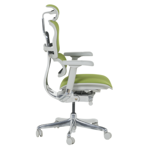 Ергономичен стол ERGOHUMAN ELITE 2 - сива рамка - зелен