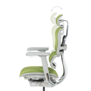 Ергономичен стол ERGOHUMAN ELITE 2 - сива рамка - зелен