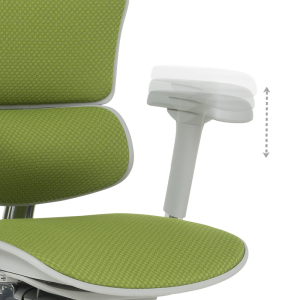 Ергономичен стол ERGOHUMAN ELITE 2 - сива рамка - зелен