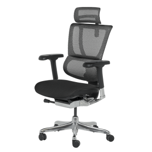 Ергономичен стол ERGOHUMAN IOO ELITE 2 - черна рамка - черен