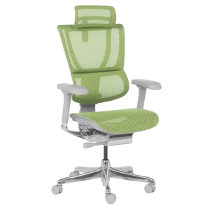 Ергономичен стол ERGOHUMAN IOO ELITE 2 - сива рамка - зелен