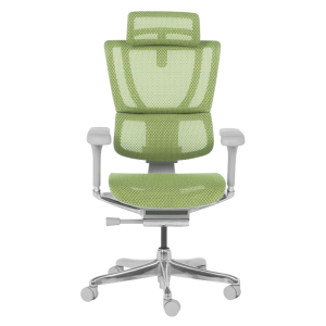 Ергономичен стол ERGOHUMAN IOO ELITE 2 - сива рамка - зелен