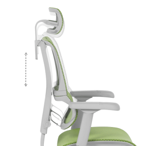 Ергономичен стол ERGOHUMAN IOO ELITE 2 - сива рамка - зелен