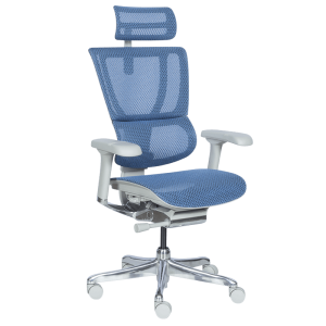 Ергономичен стол ERGOHUMAN IOO ELITE 2 - сива рамка - син