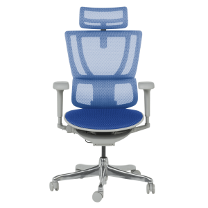 Ергономичен стол ERGOHUMAN IOO ULTRA - сива рамка - син