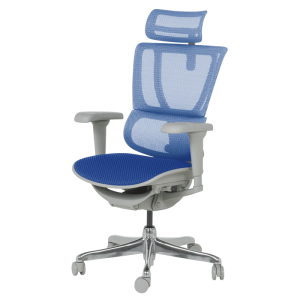 Ергономичен стол ERGOHUMAN IOO ULTRA - сива рамка - син