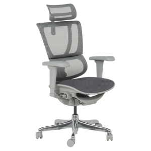 Ергономичен стол ERGOHUMAN IOO ULTRA - сива рамка - сив