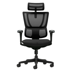 Ергономичен стол ERGOHUMAN IOO BUDGET 2 - черна рамка - черен