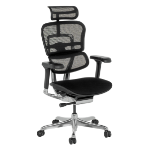 Ергономичен стол ERGOHUMAN ELITE 2 - черна рамка - черен