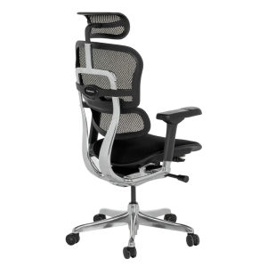 Ергономичен стол ERGOHUMAN ELITE 2 - черна рамка - черен