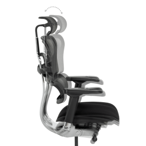 Ергономичен стол ERGOHUMAN ELITE 2 - черна рамка - черен