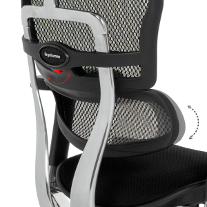 Ергономичен стол ERGOHUMAN ELITE 2 - черна рамка - черен