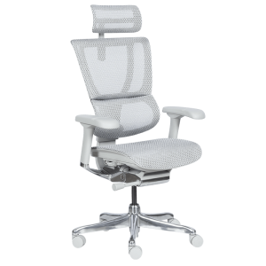 Ергономичен стол ERGOHUMAN IOO ELITE 2 - сива рамка - сив