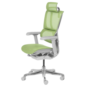 Ергономичен стол ERGOHUMAN IOO ELITE 2 - сива рамка - зелен